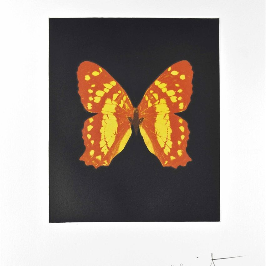 Damien Hirst — Всплывать