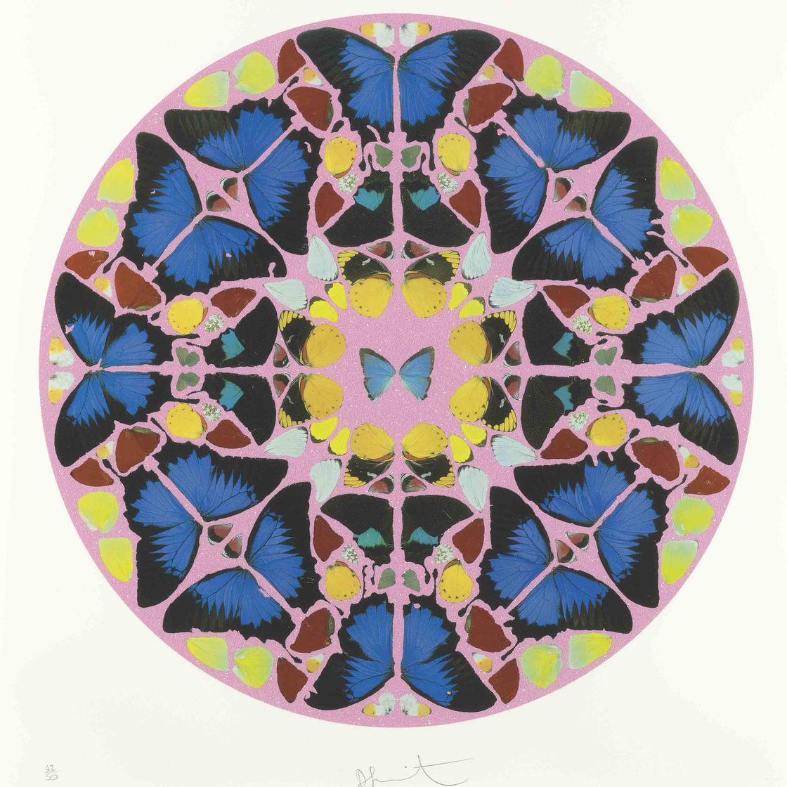 Damien Hirst — Гравюра с псалмом: Coeli enarrant
