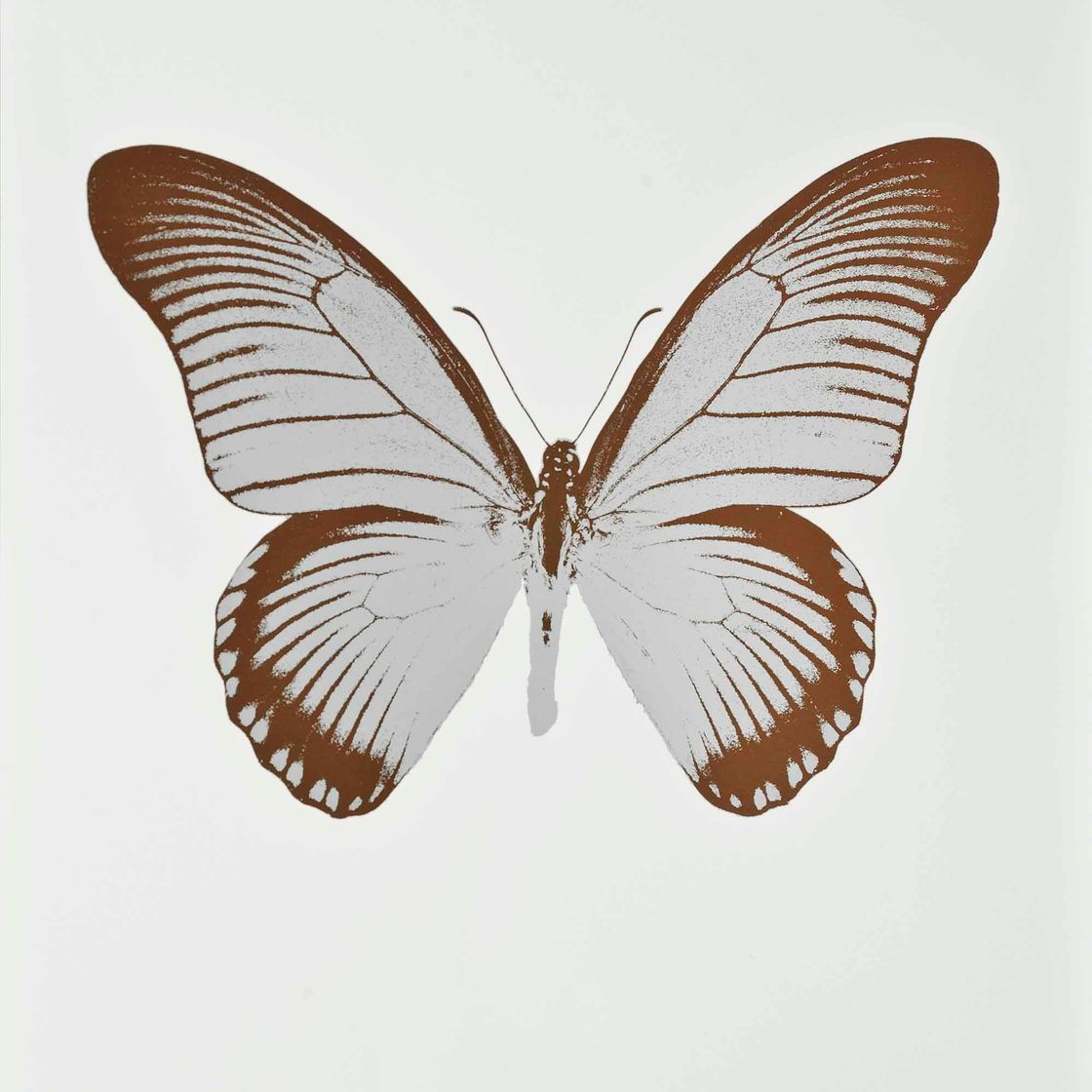 Damien Hirst — Души IV