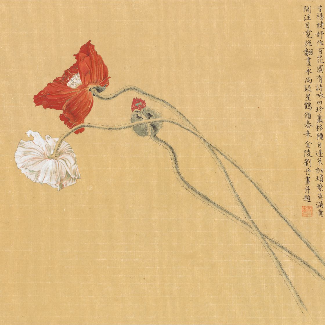 Dan Liu — Маки