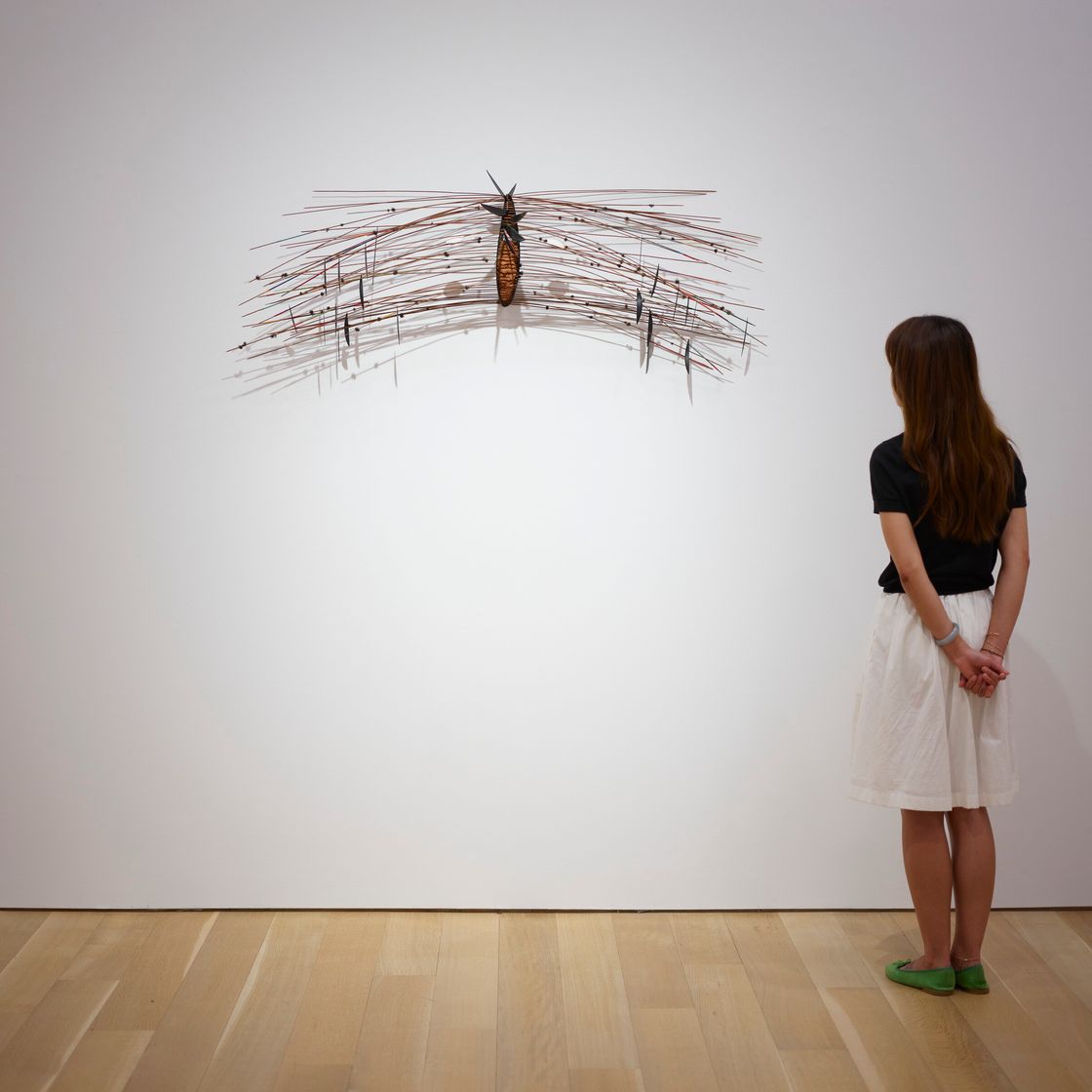 David Hammons — Без названия (Полет фантазии), изображение 4