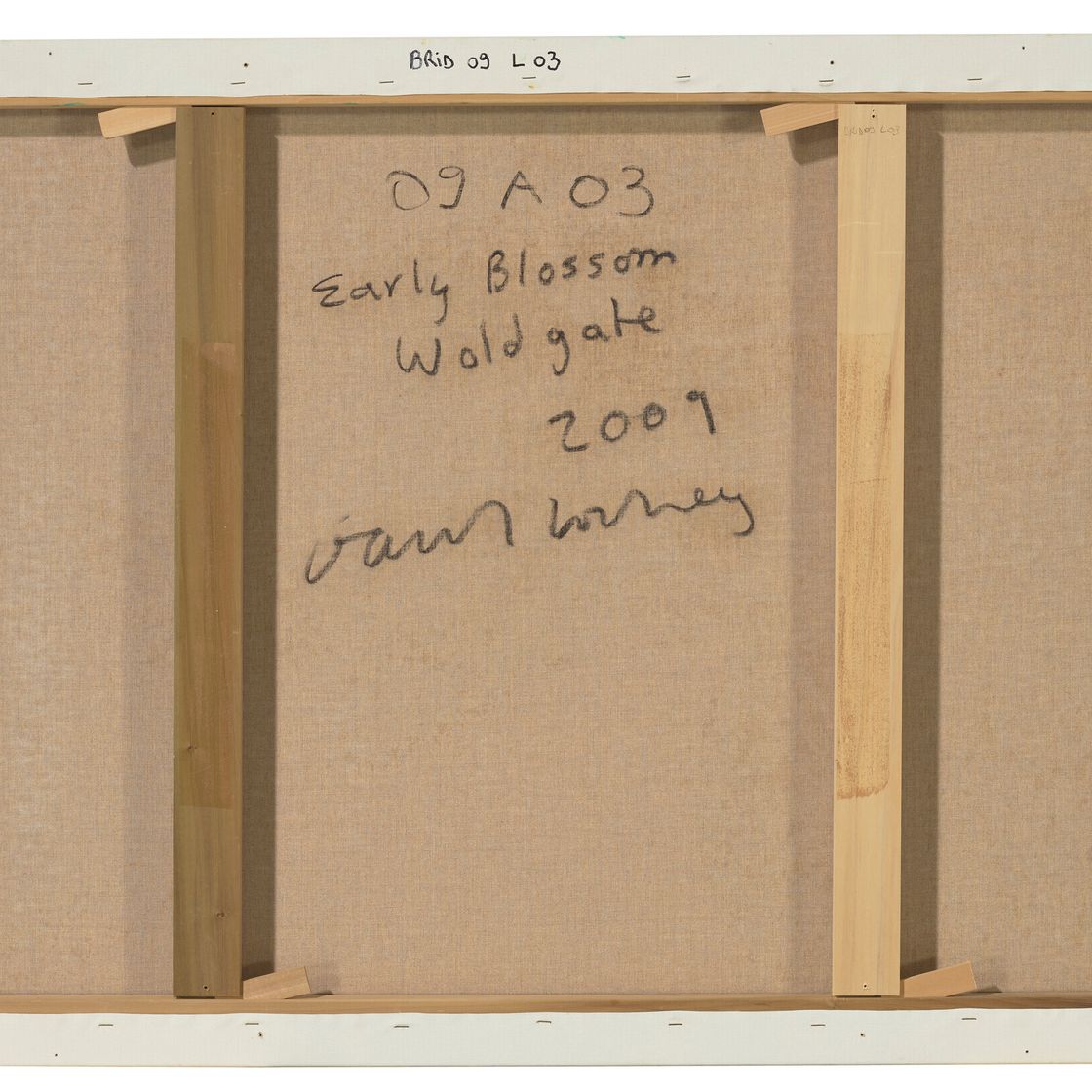 David Hockney — Раннее цветение, Уолдгейт, изображение 3