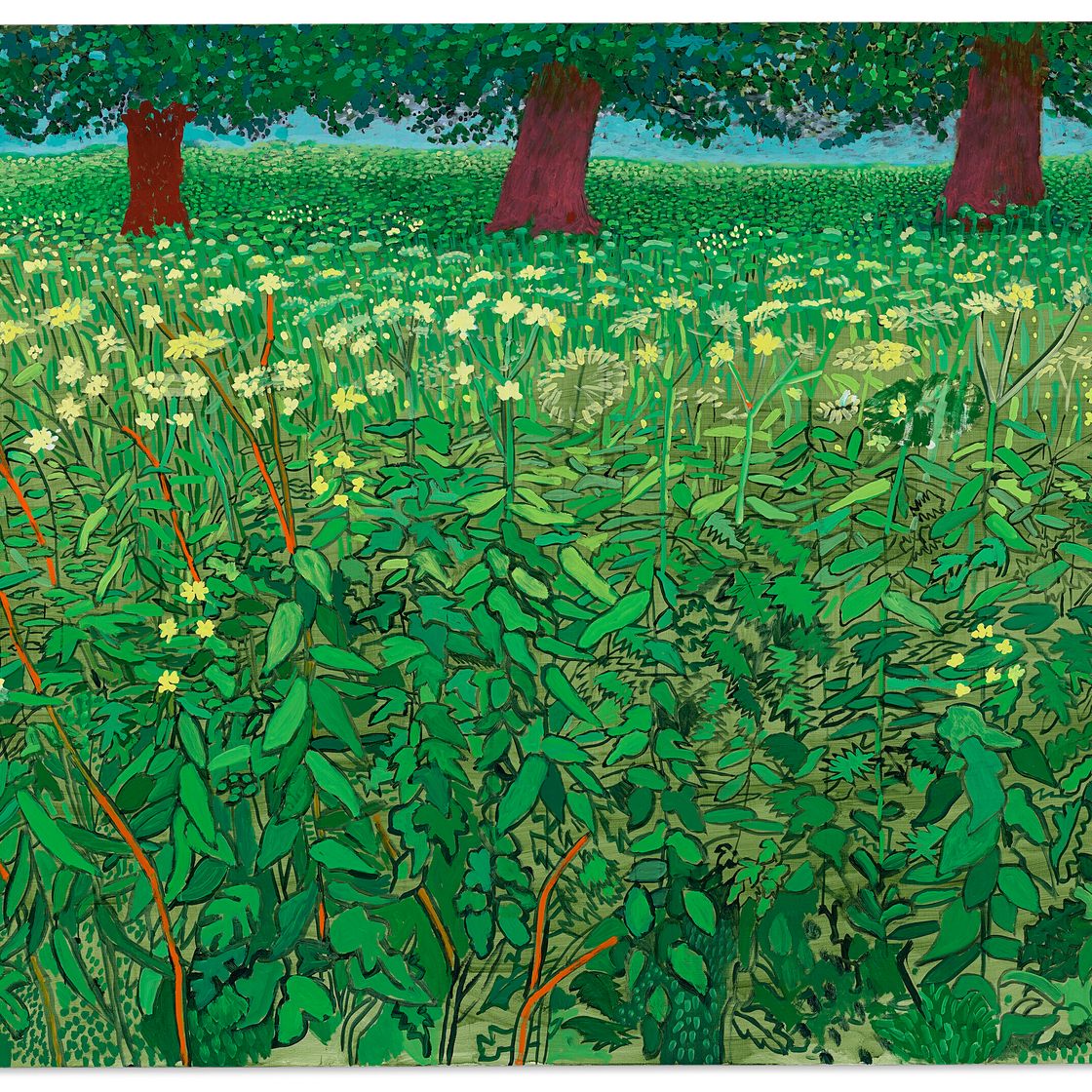 David Hockney — Кружево Королевы Анны близ Килхэма, изображение 1
