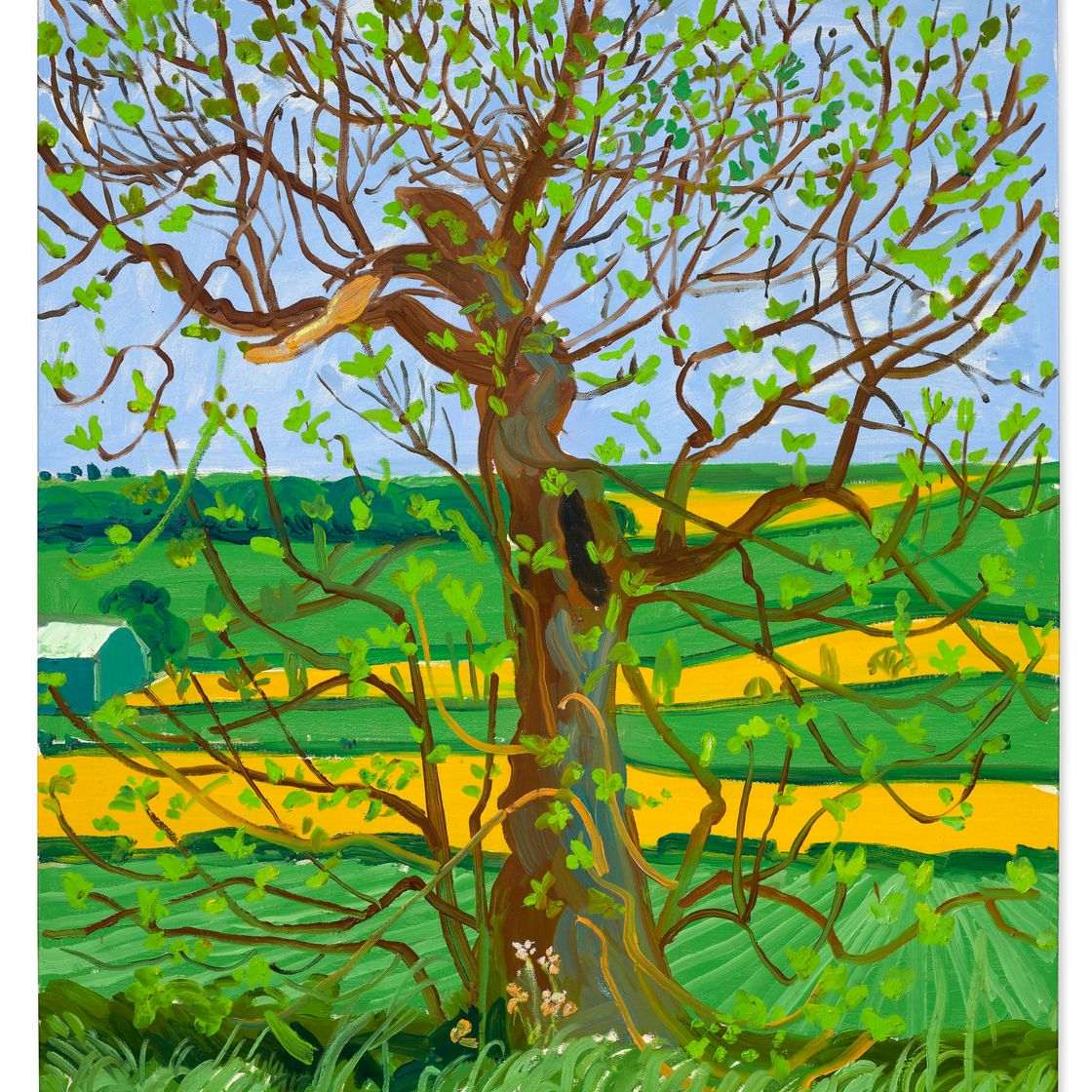 David Hockney — Дерево Уолдгейт, май, изображение 1