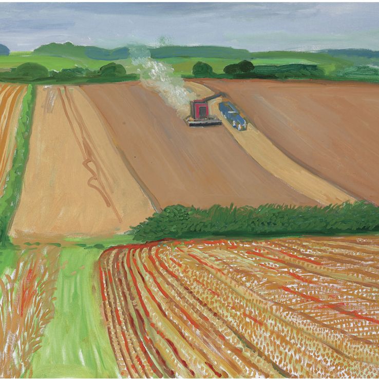 David Hockney — Сбор урожая Рядом С Дорогой Для Оттаивания