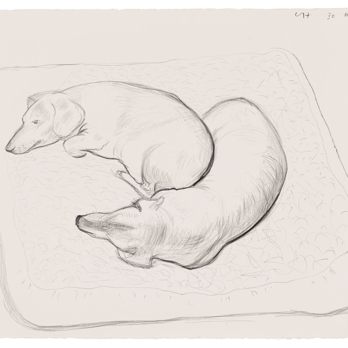 David Hockney — Буджи и Стэнли, 30 мая 1994 года, изображение 1