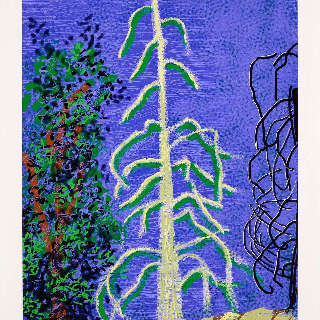 David Hockney — Без названия, № 14, из "Йосемитского набора", изображение 1