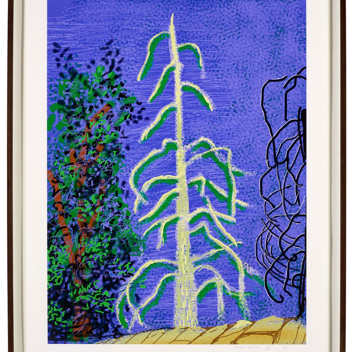 David Hockney — Без названия, № 14, из "Йосемитского набора", изображение 2