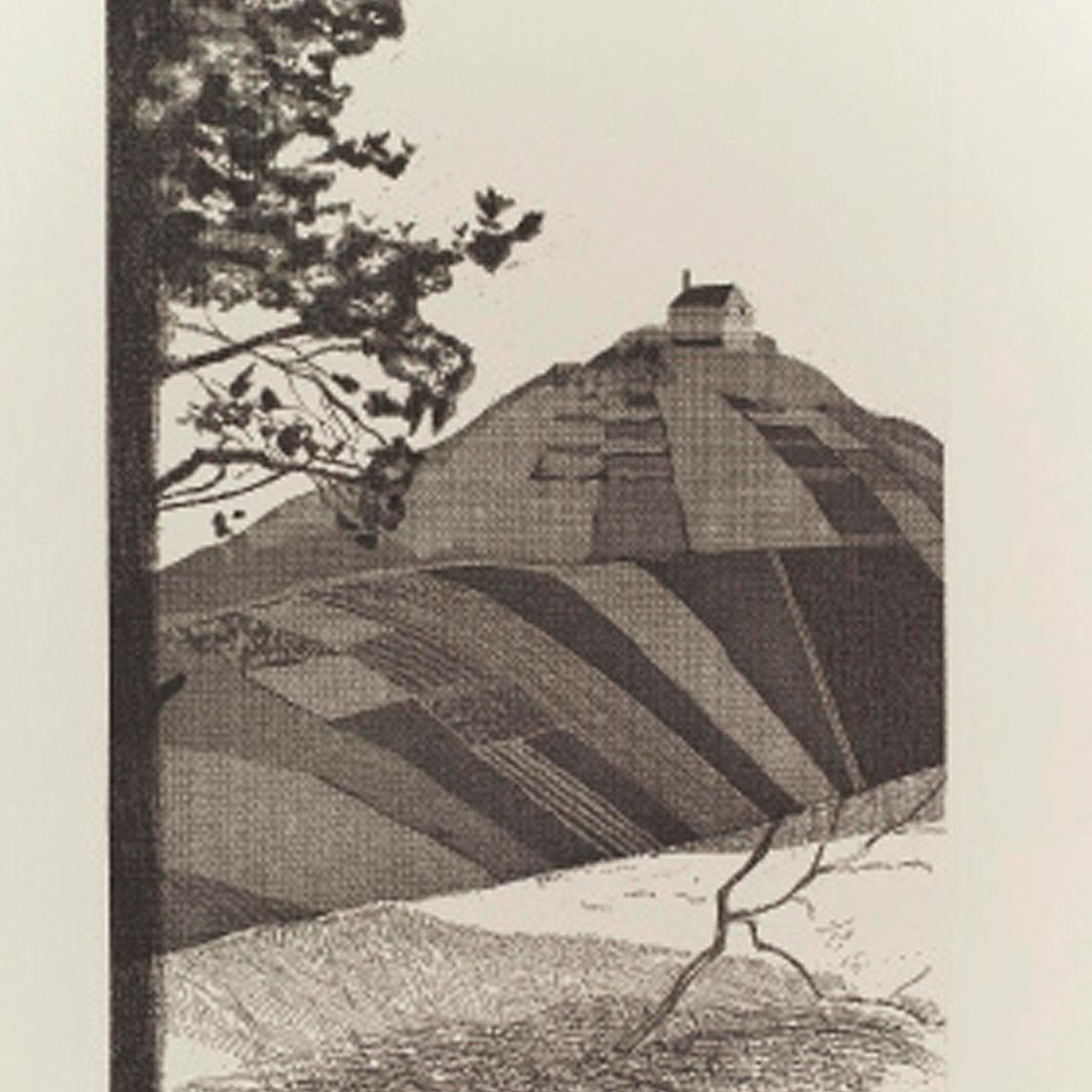 David Hockney — Иллюстрации к шести сказкам Братьев Гримм (S.A.C. 70-108; Токио 67-105), изображение 7
