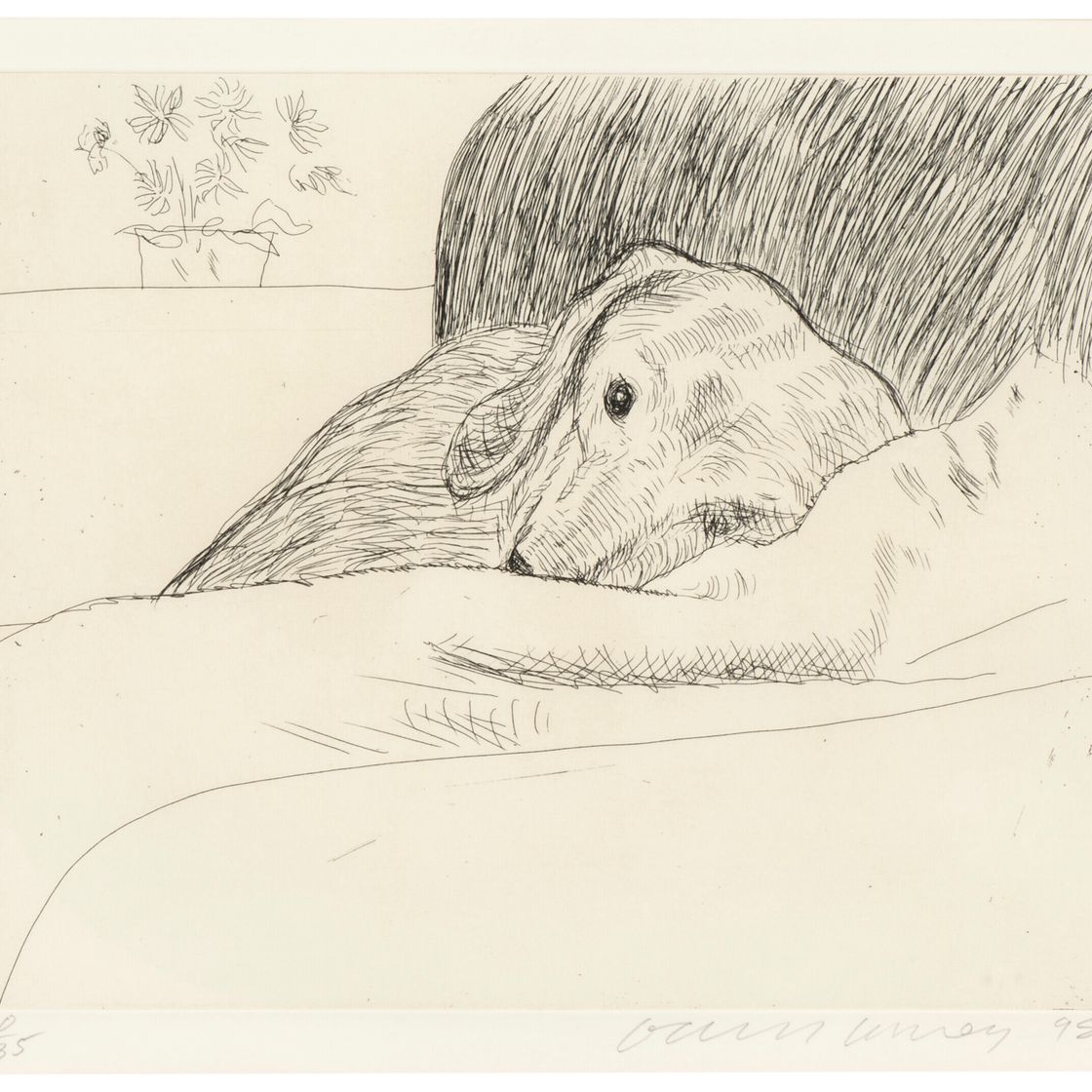 David Hockney — Собачья стенка: Одна тарелка
