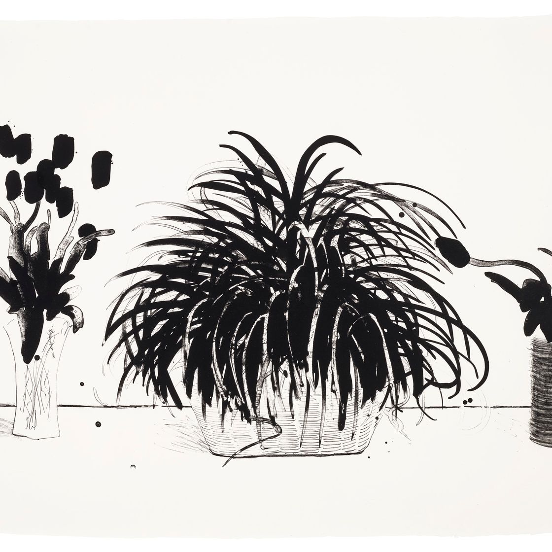 David Hockney — Две вазы со срезанными цветами и растение Лириопа, изображение 1
