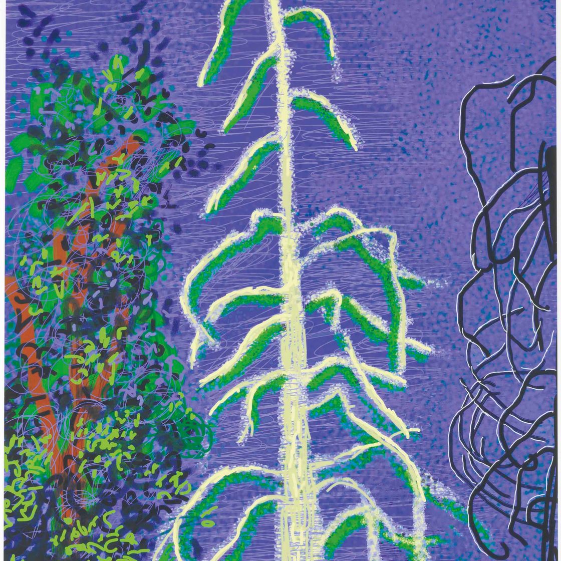 David Hockney — Без названия № 14 из Йосемитского набора