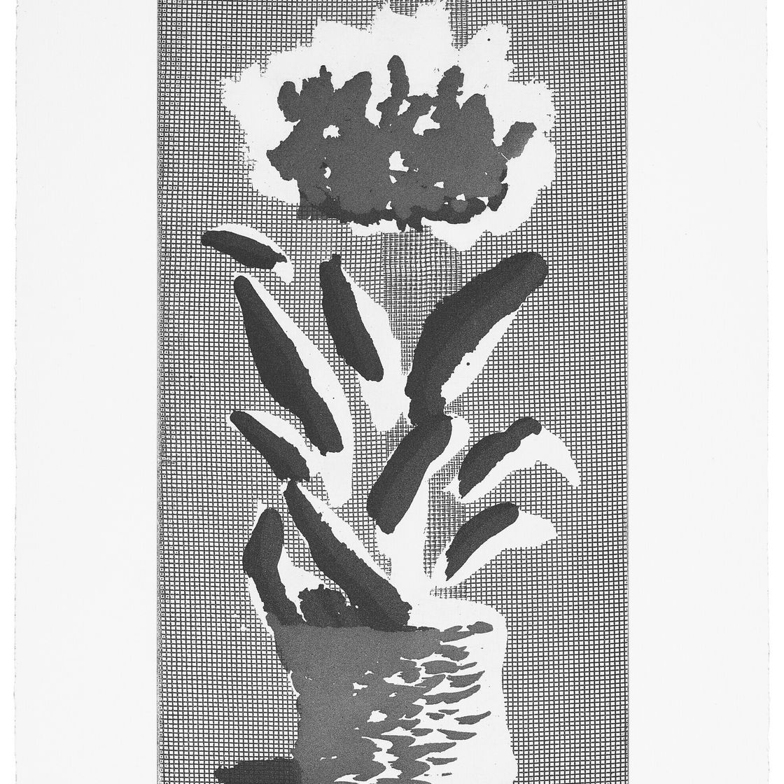 David Hockney — Подсолнух