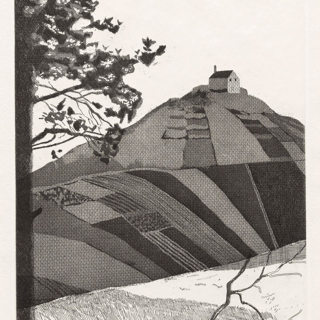 David Hockney — Иллюстрации к шести сказкам Братьев Гримм, изображение 5