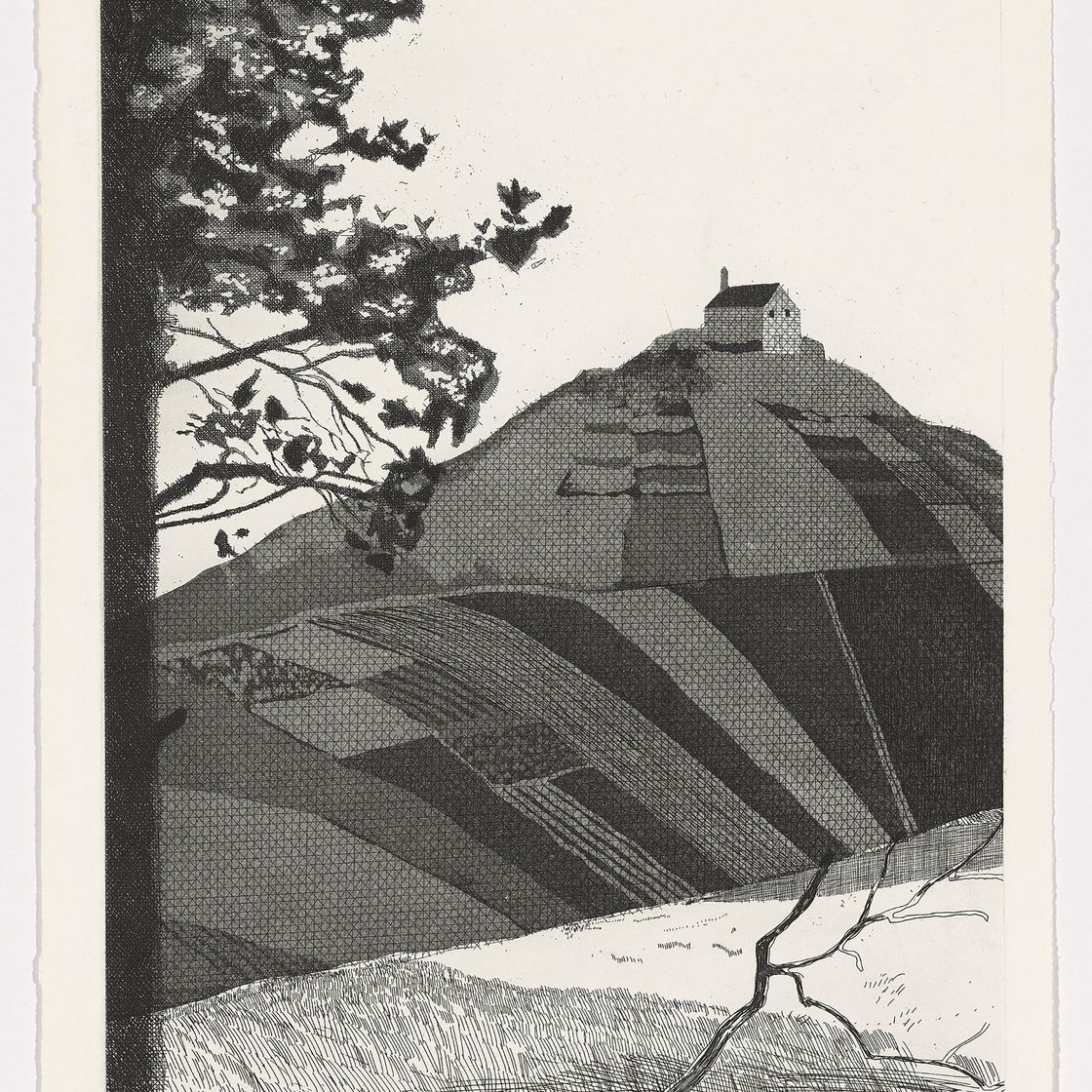 David Hockney — Иллюстрации к шести сказкам Братьев Гримм, изображение 3