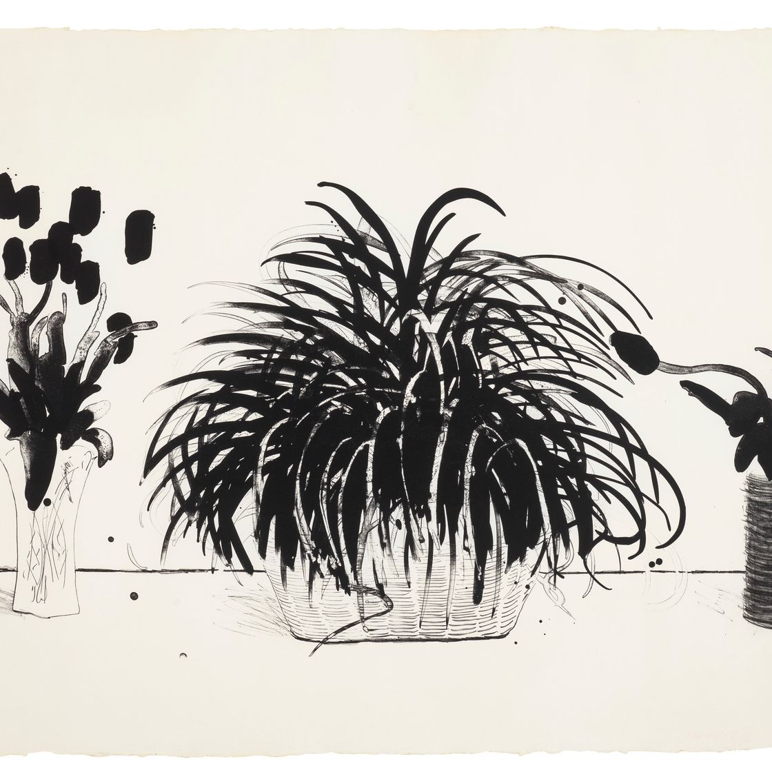 David Hockney — Две вазы со срезанными цветами и растение Лириопа, изображение 1
