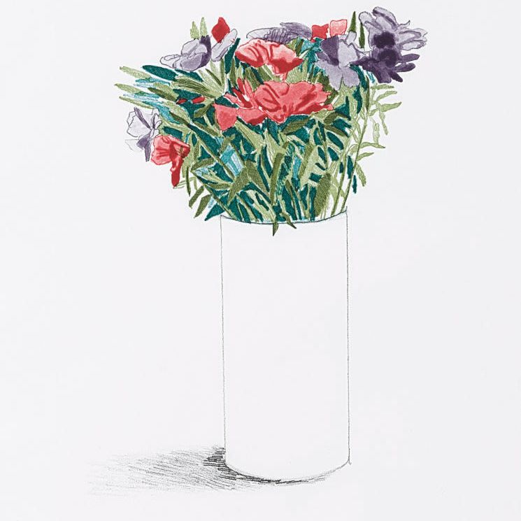 David Hockney — Годетия (S.A.C. 155; не входит в MCAT)