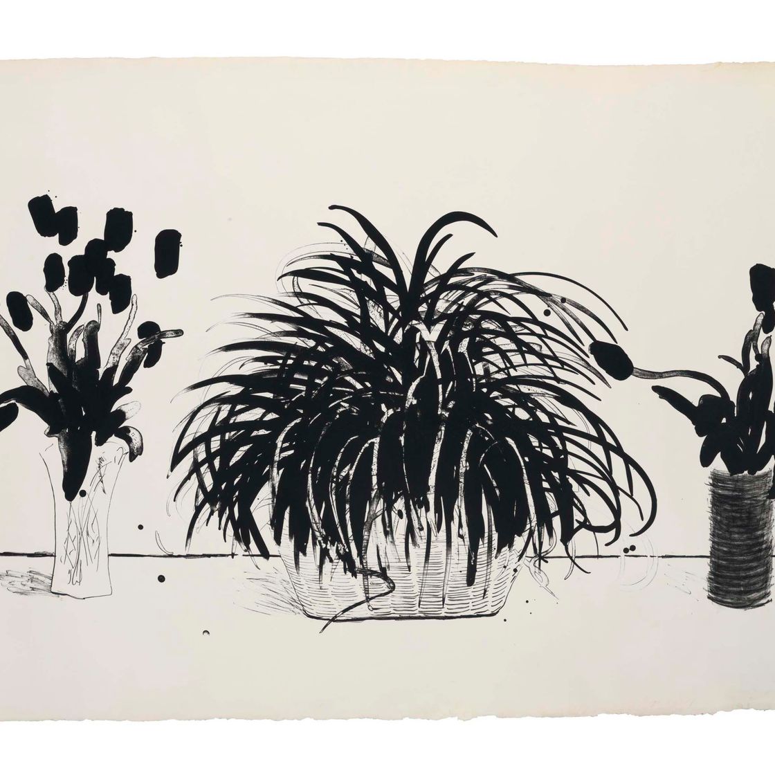 David Hockney — Две вазы со срезанными цветами и растение Лириопа (Токио, 232)