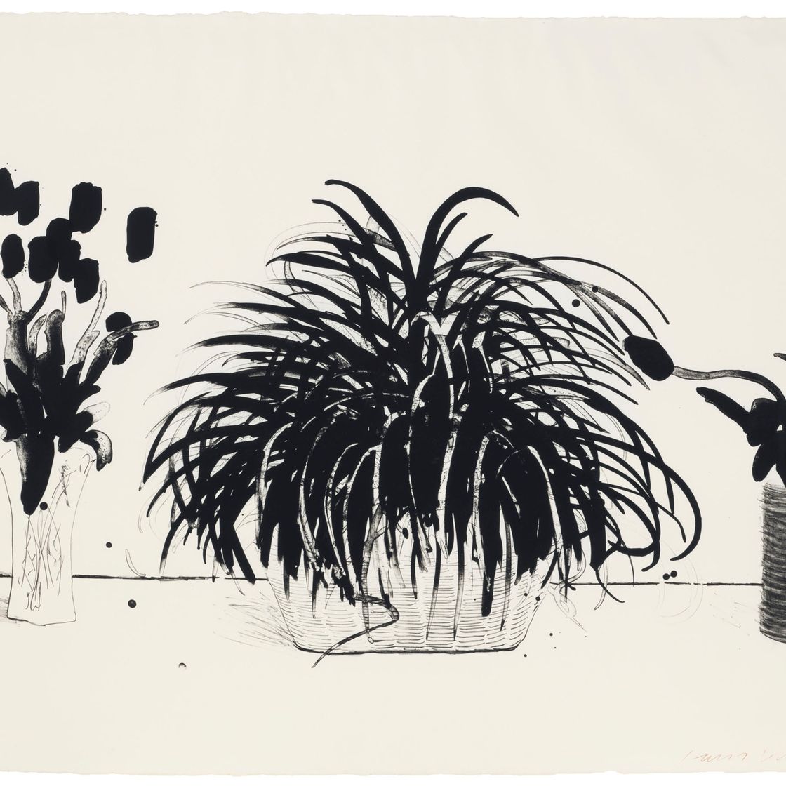 David Hockney — Две вазы со срезанными цветами и растение Лириопа
