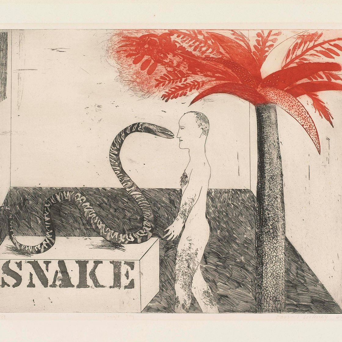 David Hockney — Мальчик из джунглей (S.A.C. 33; Токио 33)