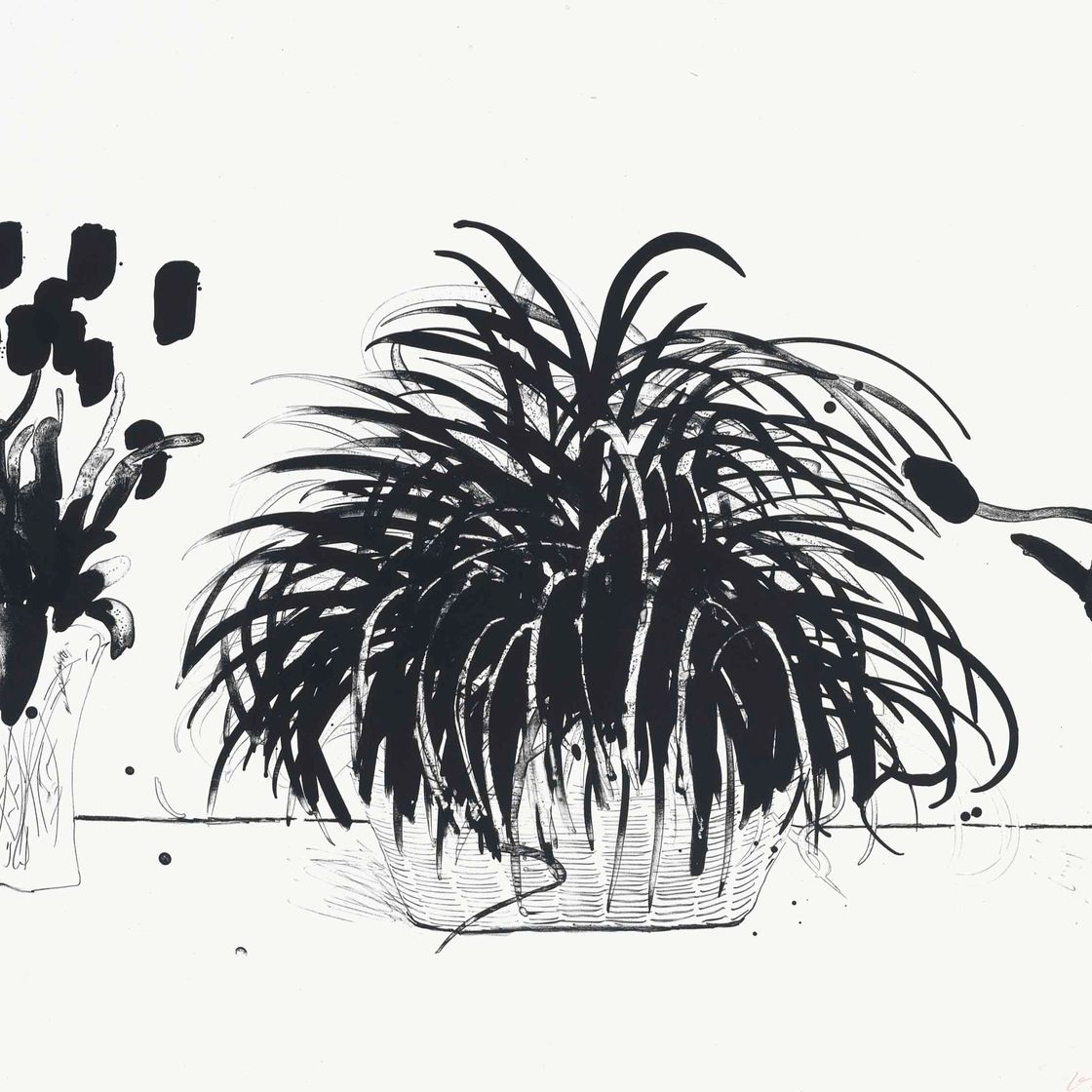 David Hockney — Две вазы со срезанными цветами и растение Лириопа