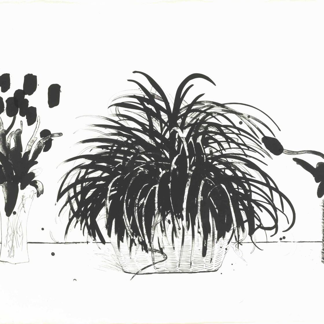 David Hockney — Две вазы с милыми цветами и растение Лириопа