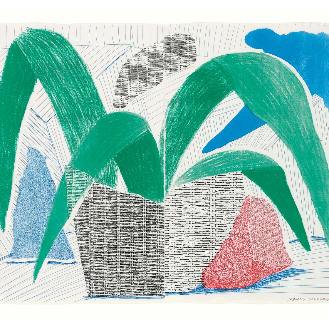 David Hockney — Зеленое серо-голубое растение, июль (Токио, 317)