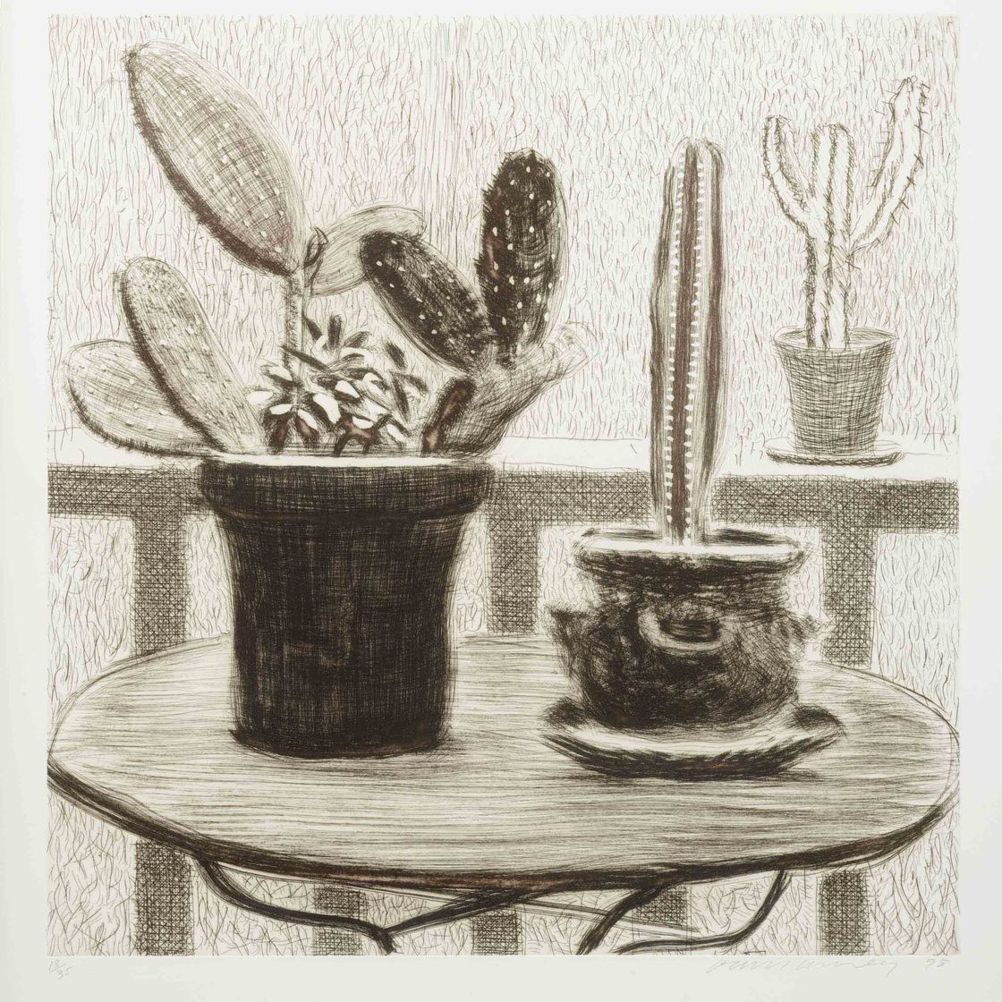 David Hockney — Кактусы на террасе