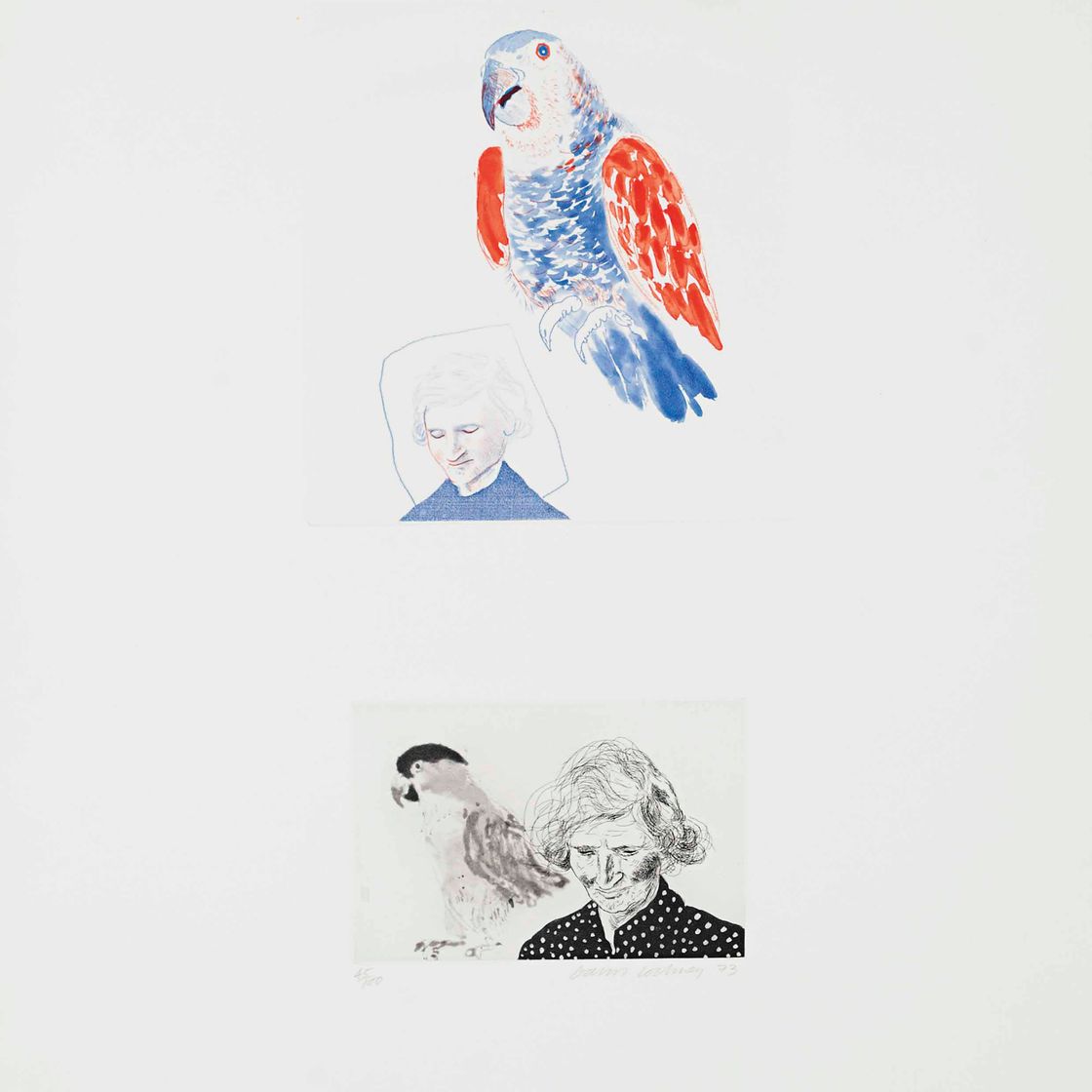 David Hockney — Моя мама с попугаем (Шотландский художественный совет, 161; Токио, 148)