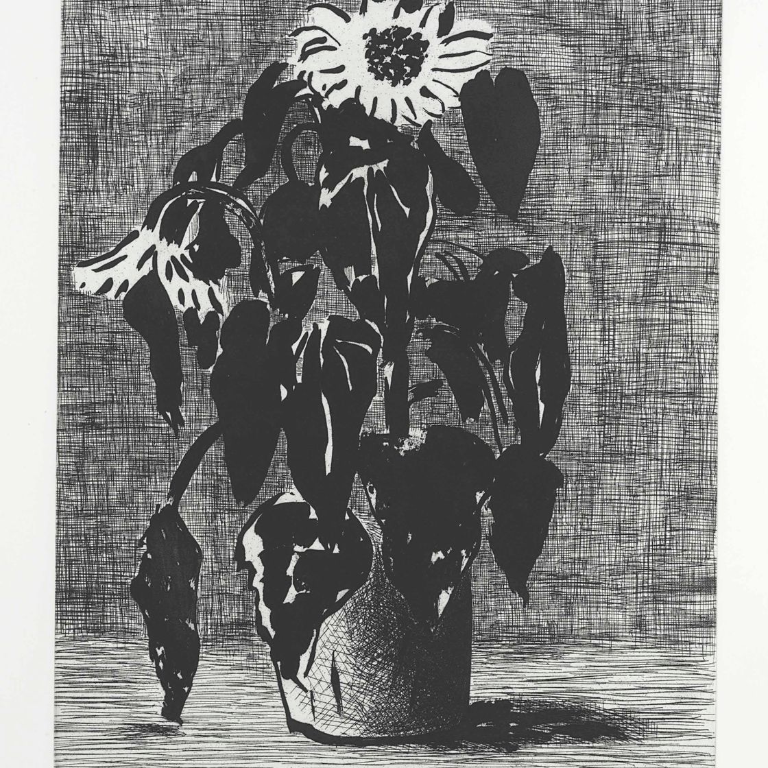 David Hockney — Подсолнух I