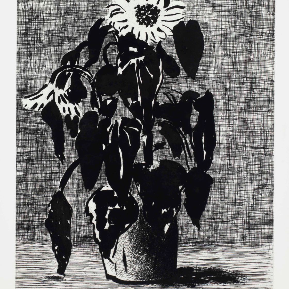 David Hockney — Подсолнухи, я