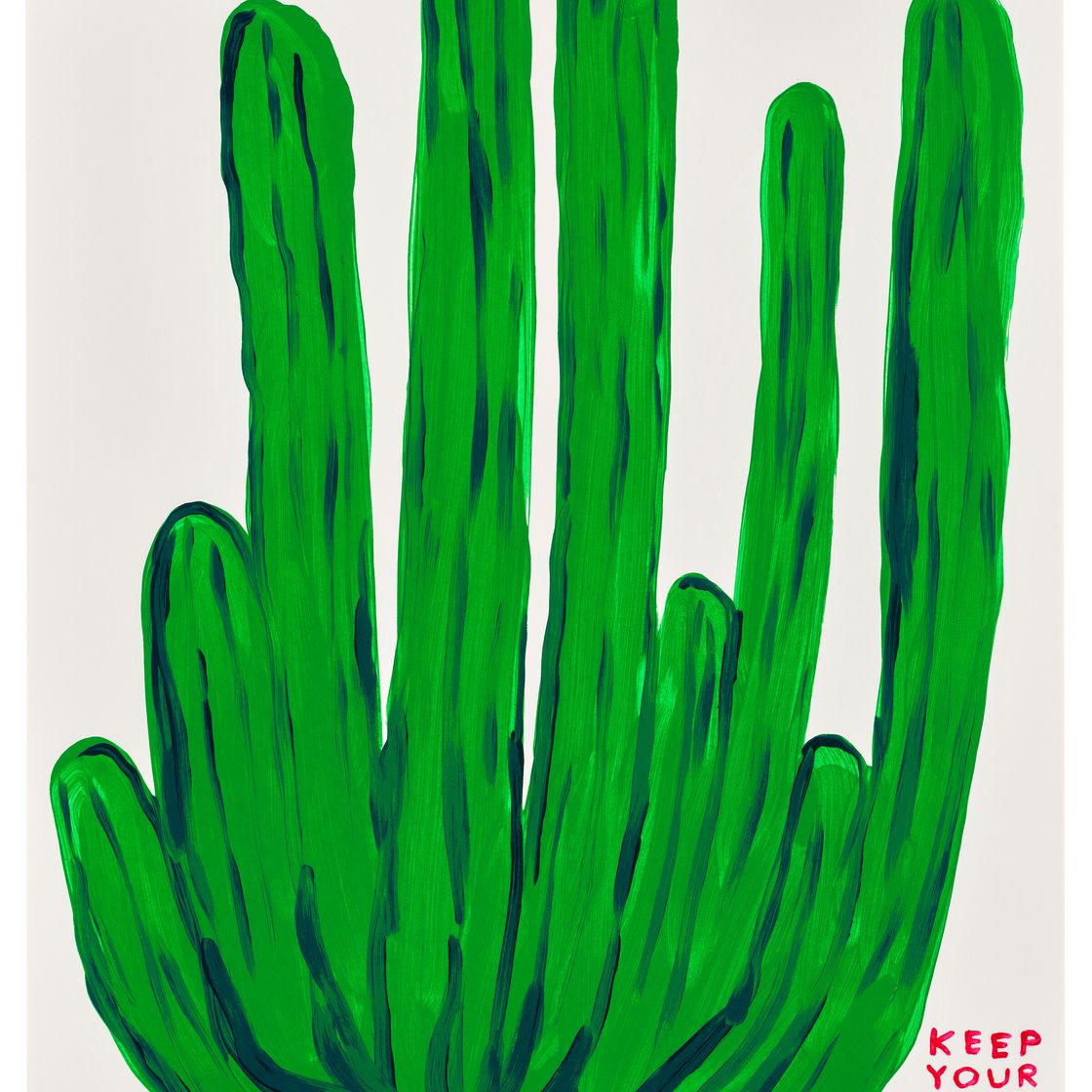 David Shrigley — Держи свою задницу подальше от кактуса