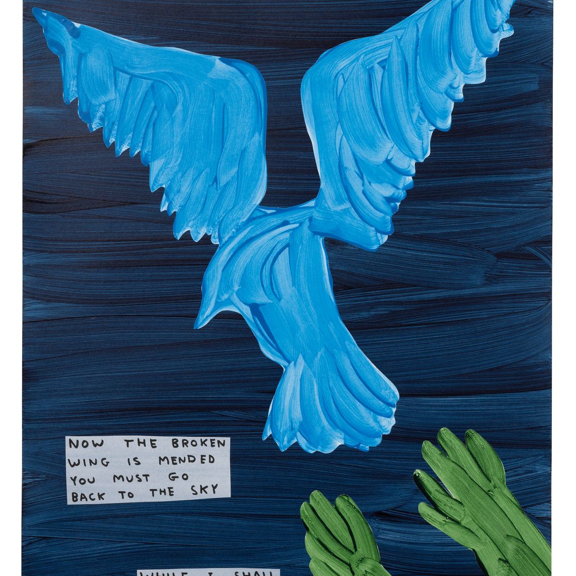David Shrigley — Без названия (Теперь сломанное крыло починено)