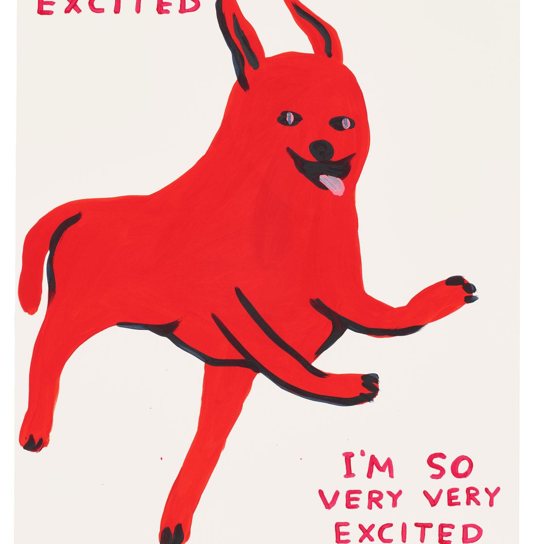 David Shrigley — Я так взволнована