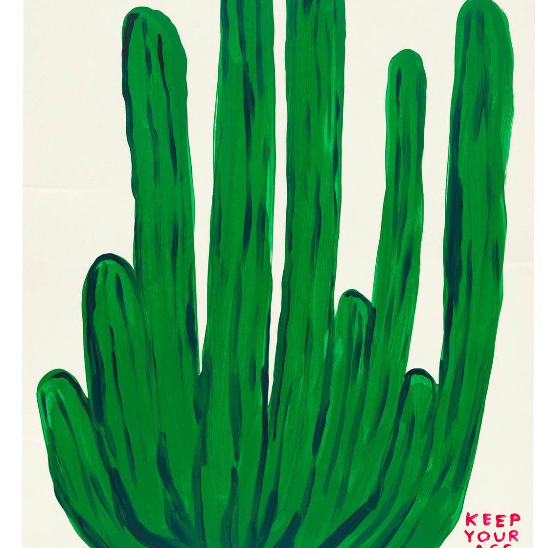 David Shrigley — Держи свою задницу подальше от кактуса