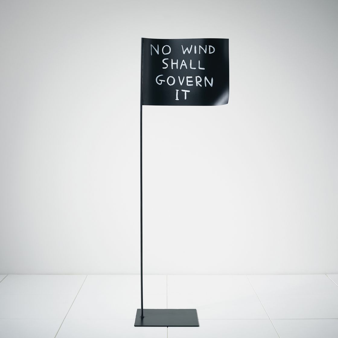 David Shrigley — Металлический флаг, изображение 2