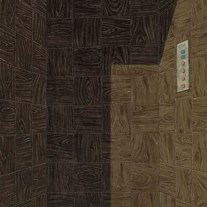 Domenico Gnoli — Фарштуль (Подъемник) (Подъемник)