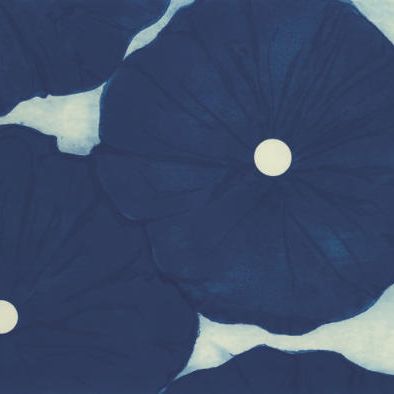Donald Sultan — Четыре синих цветка, 19 мая 1999