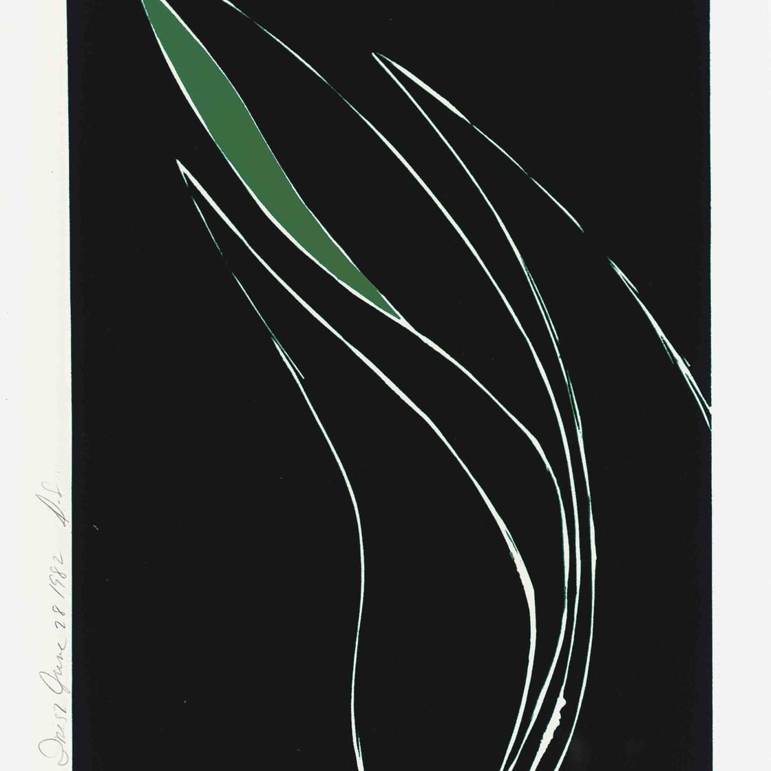 Donald Sultan — Фотографии бродяг - Ирисы, 1982