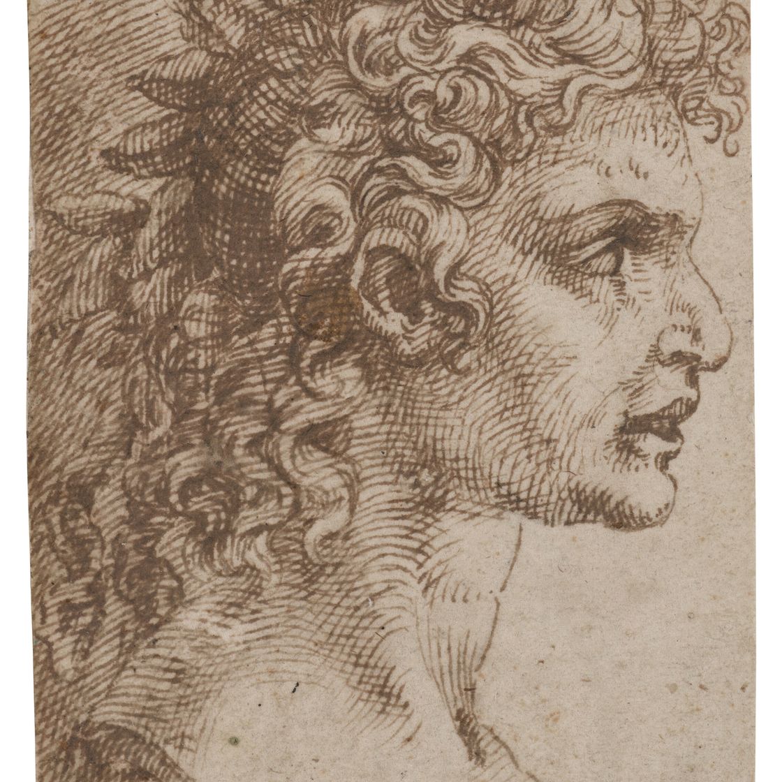Dutch School — Исследование скульптурной головы, изображение 1
