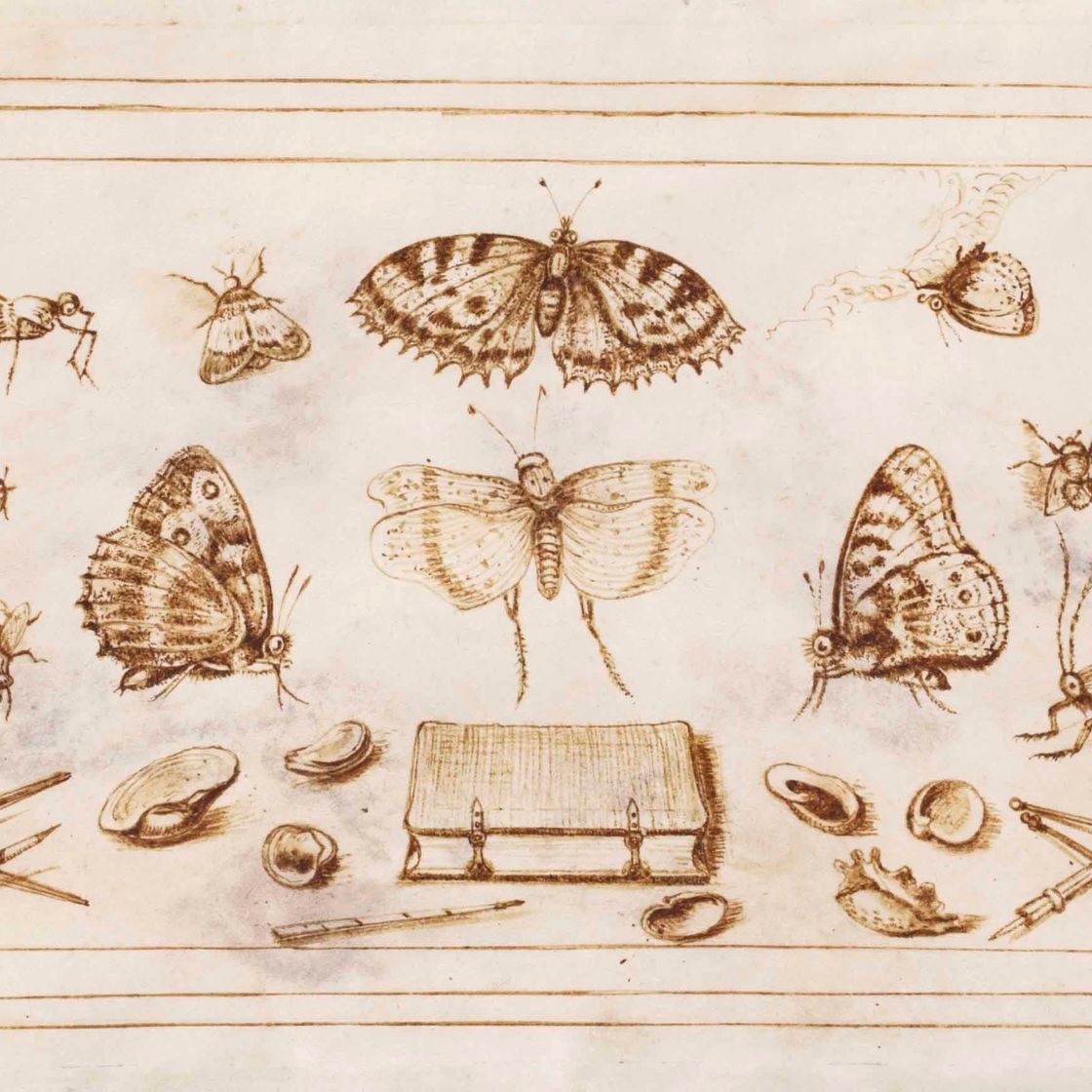 Dutch School — Сборник рисунков бабочек, гусениц, стрекоз и кузнечиков, пауков, мух, стрекоз и других насекомых, принадлежности для рисования и книга, частично написанная по мотивам Йориса Хефнагеля