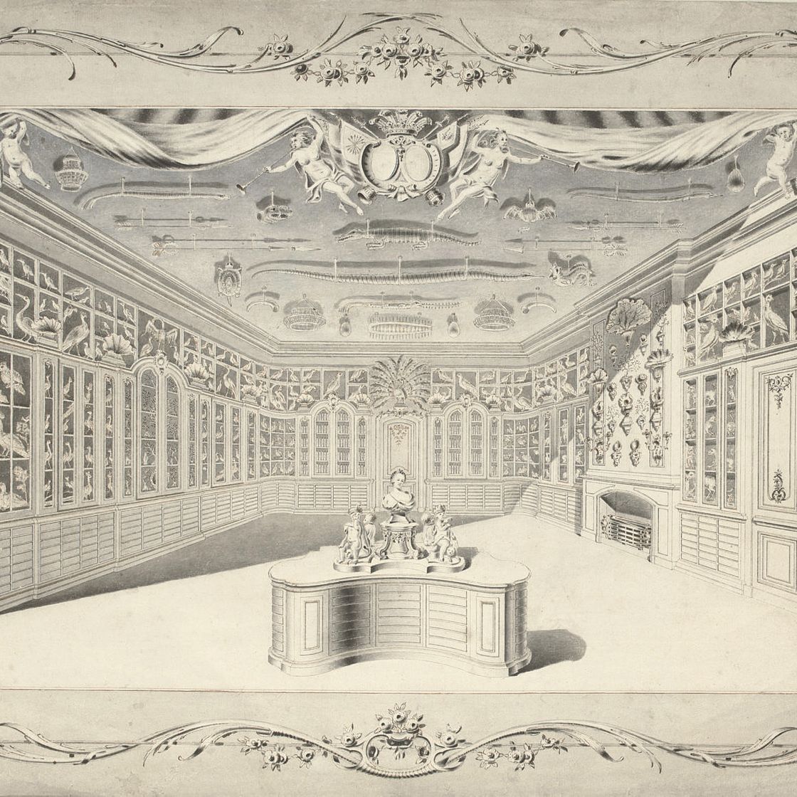 Dutch School — Кунсткамера Катарины Сиртемы ван Гровестинс, Гаага