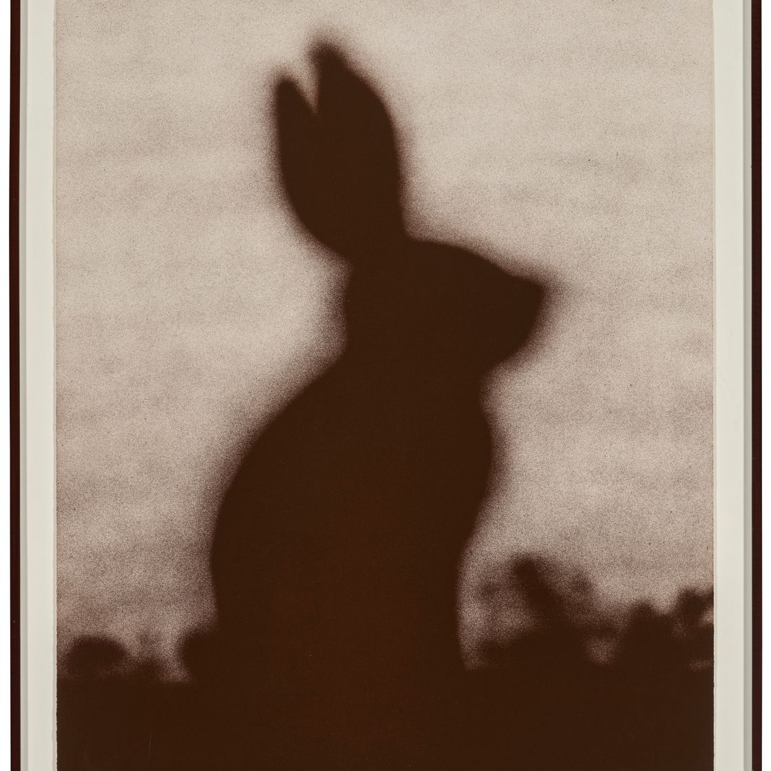 Ed Ruscha — Кролик, изображение 2