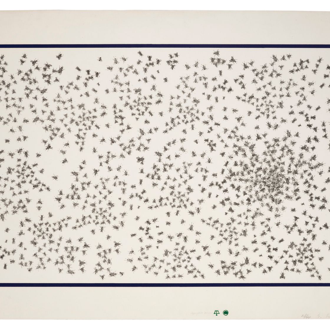 Ed Ruscha — Мухи и лягушки
