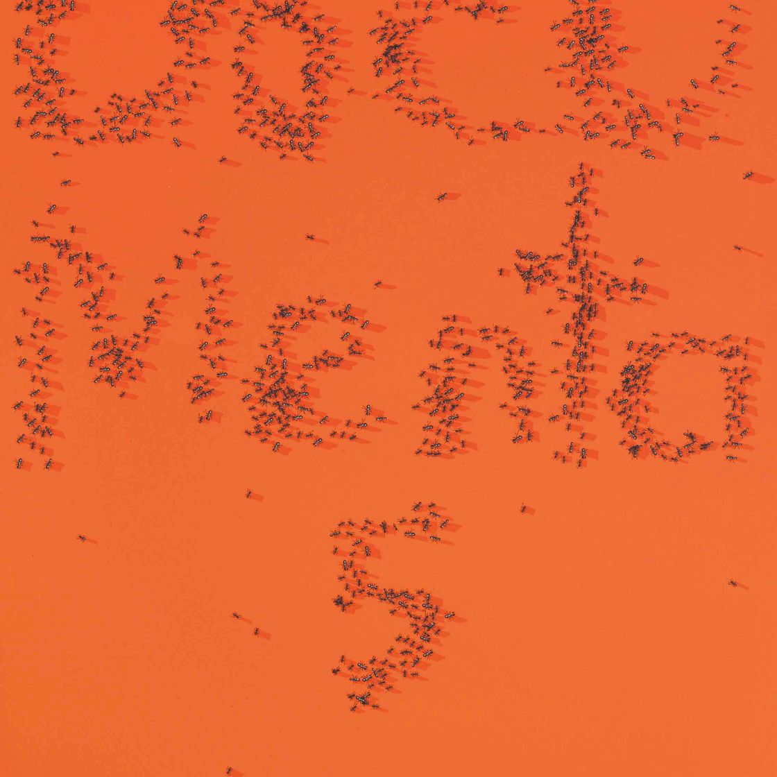 Ed Ruscha — Документ 5