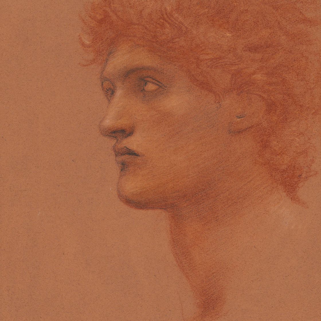 Edward Burne-Jones — Исследование мужской головы в профиль для Персея в фильме "Зов Персея", изображение 1