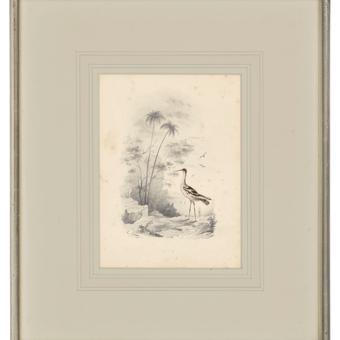 Edward Lear — Четыре виньетки с изображением птиц - пара попугаев, фламинго, авокадо и мергансер, изображение 6