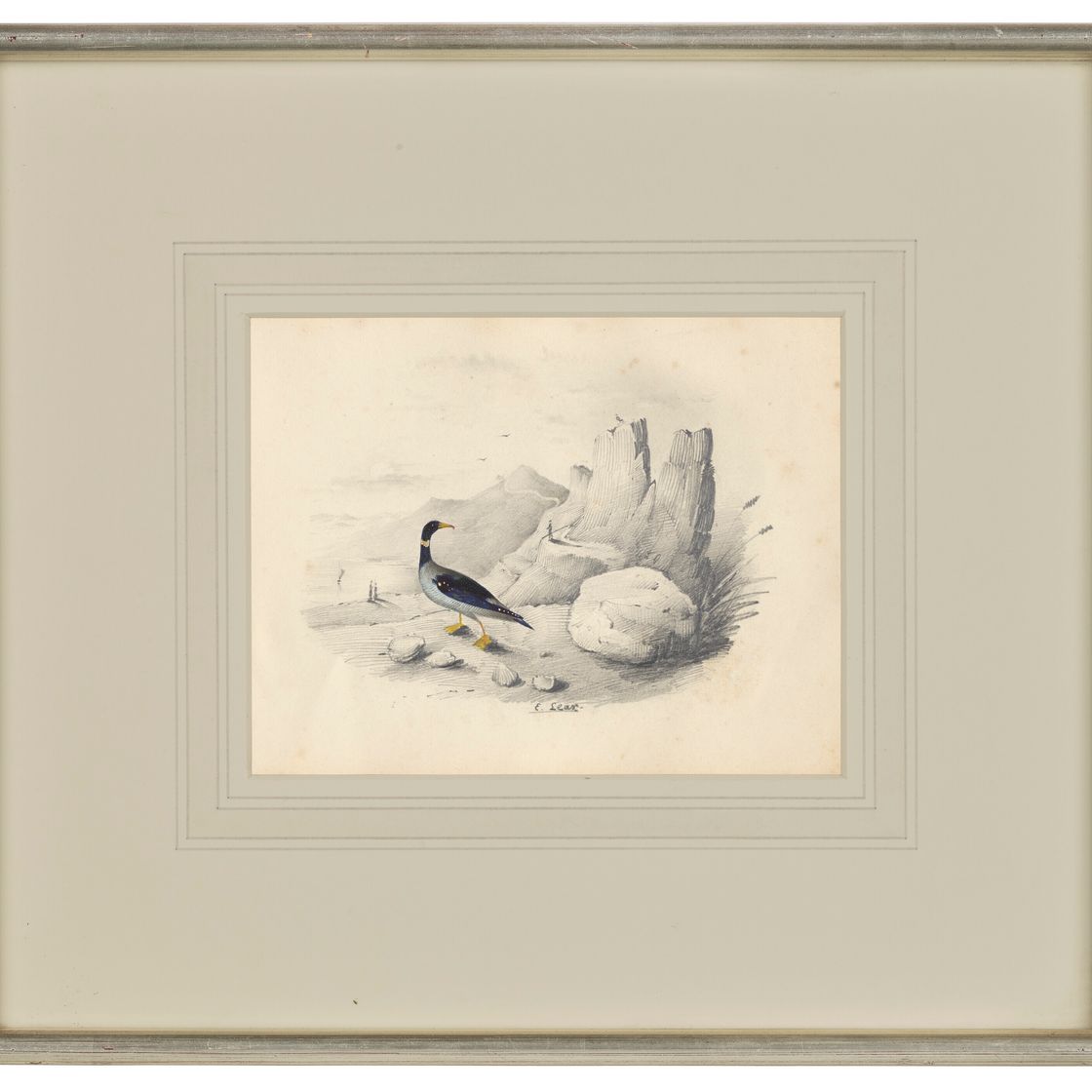 Edward Lear — Четыре виньетки с изображением птиц - пара попугаев, фламинго, авокадо и мергансер, изображение 8
