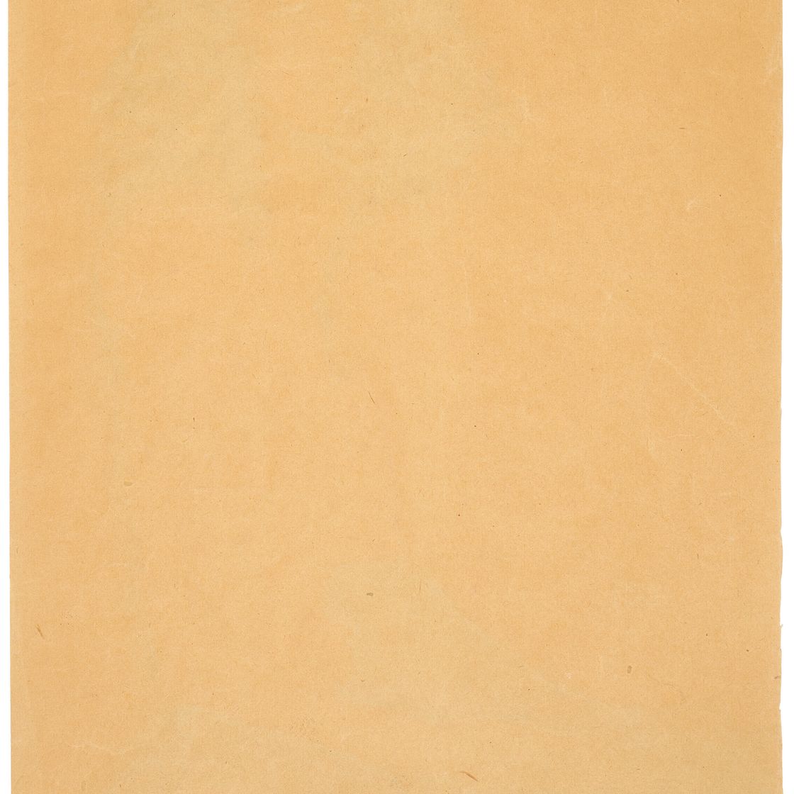 Egon Schiele — Шварцес Медхен, изображение 3
