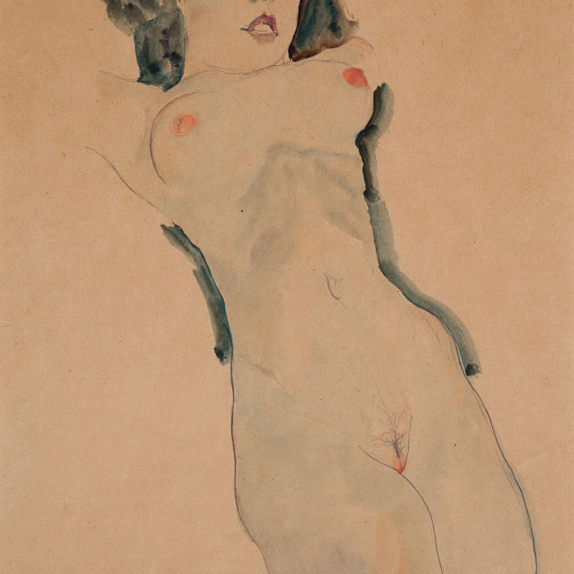 Egon Schiele — Адвокат из института Шварцена Струмпфена
